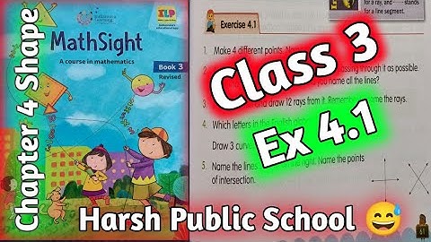 Class 3 Maths|Mathsight Class 3| Maths Class 3|Chapter 4 Shapes |  Ex 4.1 |HPS Gurugram| Mathsight