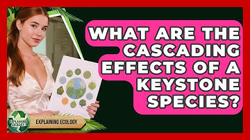 What Are The Cascading Effects Of A Keystone Species? - Explaining Ecology