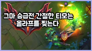 [항심] 그마승급전 간절한 티모는 올라프를 찢는다. 티모 VS 올라프(TeeMo vs Olaf)