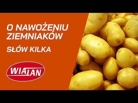 Wideo: Nawozy Do Ziemniaków: Jakie Zastosować Podczas Sadzenia W Dołku I Jesienią? Najlepsze Opatrunki Dolistne I Korzeniowe Do Uprawy Ziemniaków