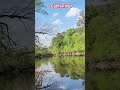 calm river (S3)