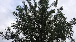 дом c участком 15 соток на берегу реки в низовье Волги дом c участком 15 соток на берегу реки в низовье Волги