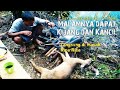 Seru-seruan di Kebun Malamnya dapat KIJANG dan KANCIL langsung di masak Rica-Rica