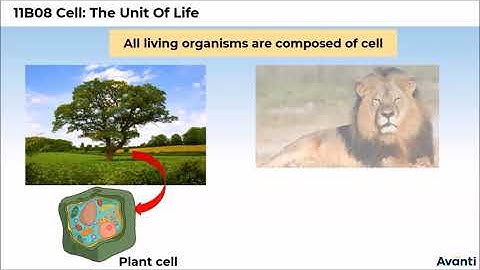 1. 11B08.1 Introduction