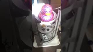【参加型】アヒルを救出させろ