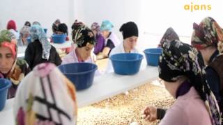 Atalay Fındık Fabrikası