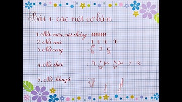 Bài 1:Các nét cơ bản cho người mới bắt đầu luyện chữ