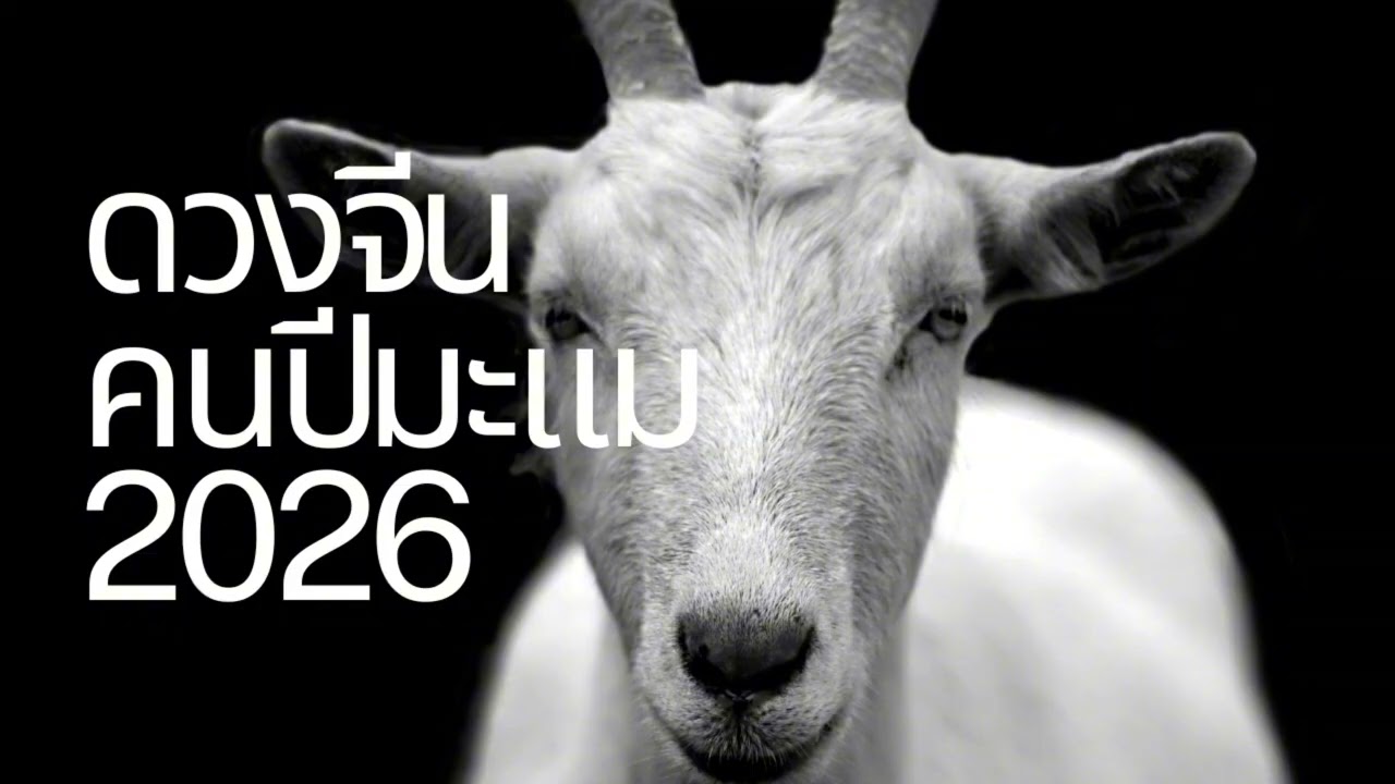 ดวงจีนปี 2026: มะแม