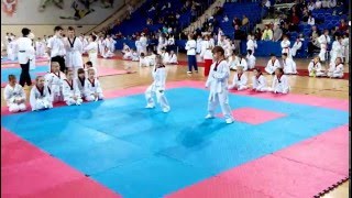 6 декабря 2015 г.Протвино, Московская обл. Ежегодный турнир клуба Эридан по Пхумсэ