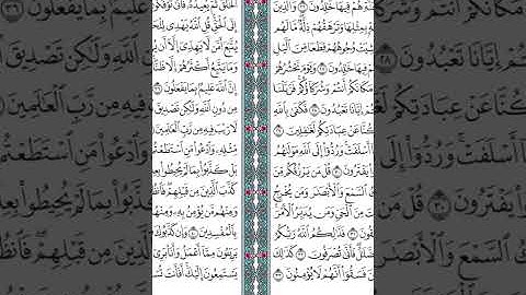 سورة يونس ( مصحف تراويح الحرم المكي عام 1446 ه‍)