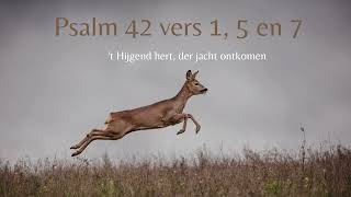 Psalm 42 vers 1, 5 en 7 - O mijn ziel, wat buigt g' u neder