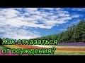 Как отказаться от осуждения? Джон Пэйн. Ваша реальность - это ваш выбор