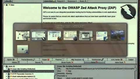 FOSDEM 2013 - Practical Security For Developers, Using Owasp Zap