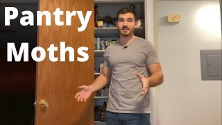 The BEST Way to Get Rid of Pantry Moths by Chris Van 90,883 views 3 years ago 8 minutes, 18 seconds