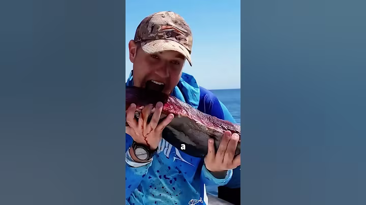 #shorts #shortvideo #tuna #seafood #fyp #knowledge #why #fishing