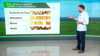 Você sabe o que são leguminosas e oleaginosas? Vamos conhecer esses alimentos e seus benefícios