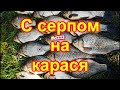 С серпом на карася