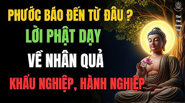Phước báo đến từ đâu ? lời phật dạy về nhân quả khẩu nghiệp và hành nghiệp