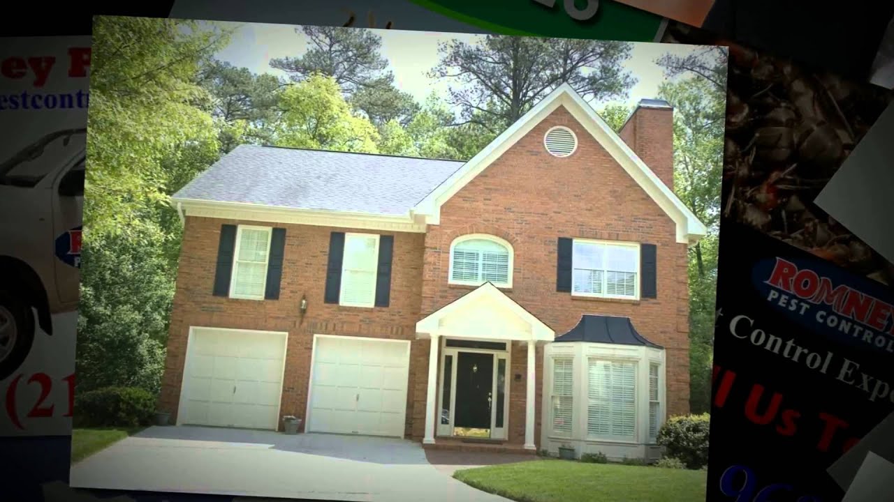 Termite Removal Service Little Elm Texas | Call (214) 960-2396