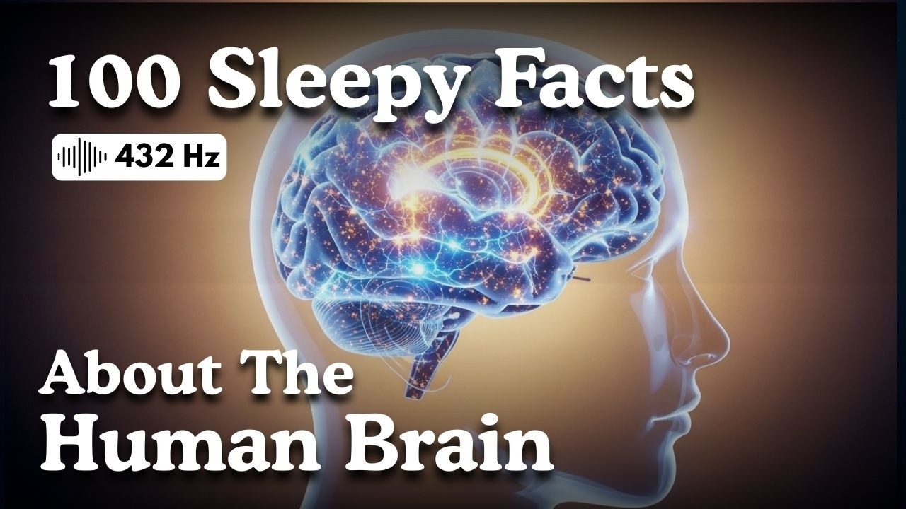 The Most Relaxing Facts About the Human Brain to Fall Asleep To