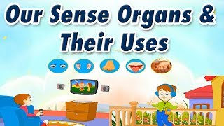 Our Sense Organs and Their Uses | Educational Videos For Kids screenshot 5