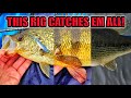 Crappies and perch are on fire now use this fishing technique to catch em all hover strolling