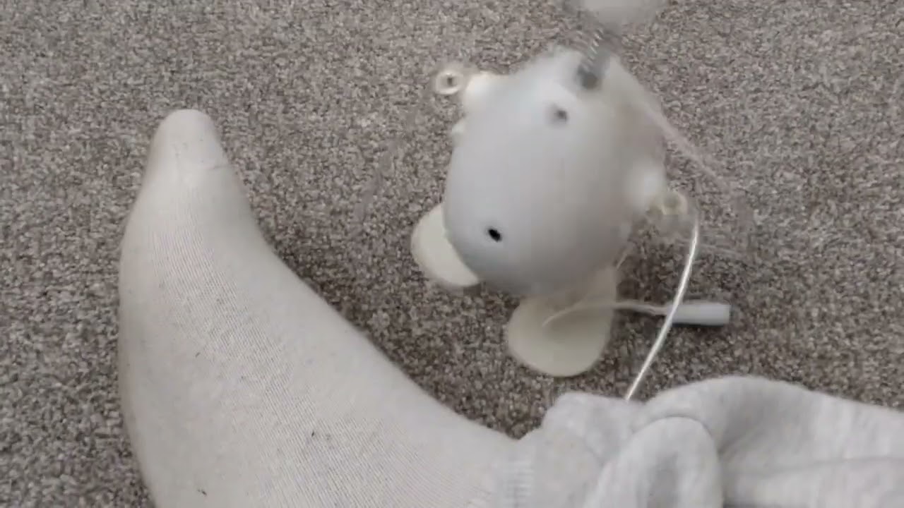 Repeating parrot without fur