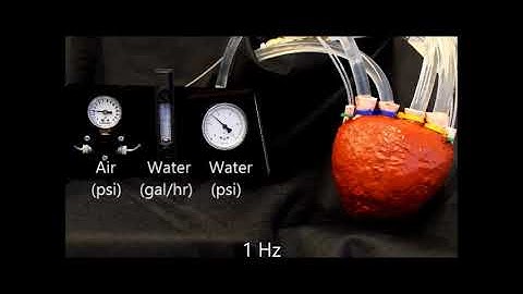 Bioinspired Soft Fluid 