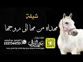 شيلة مهداه من مها الى زوجها مروي كلمات واداء بندر الذرفي