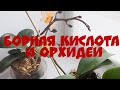 Борная кислота для ОРХИДЕЙ/полив