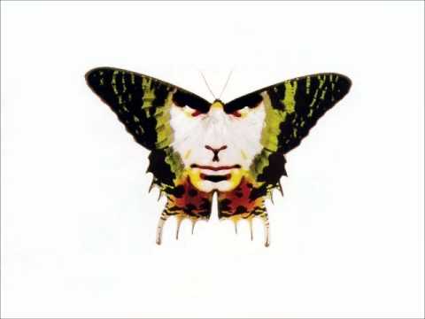G.H.L.M. Video