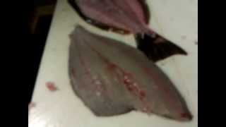 Halibut Fabrication