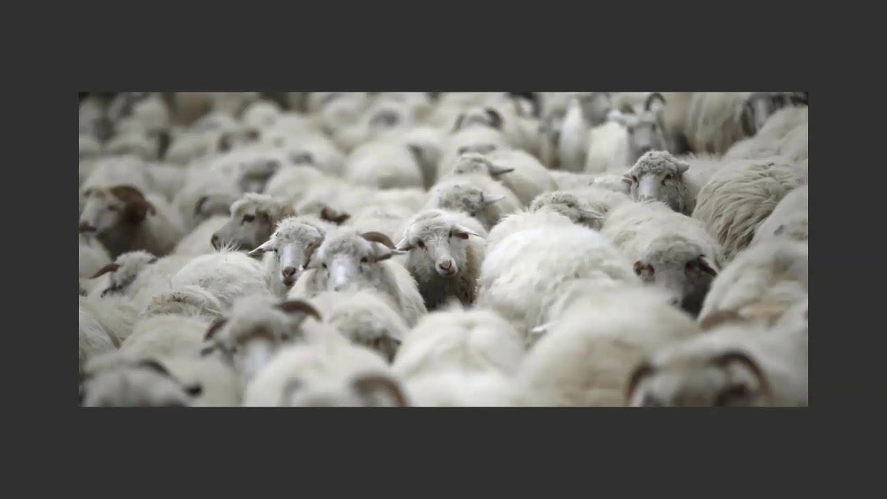 The Significance of Timeframe