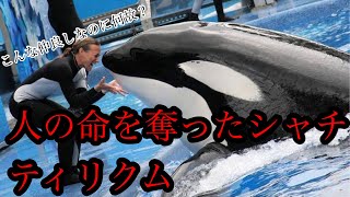 【実話】水族館で3人の命を奪ったシャチ、ティリクム【事故？人を襲うシャチ？】