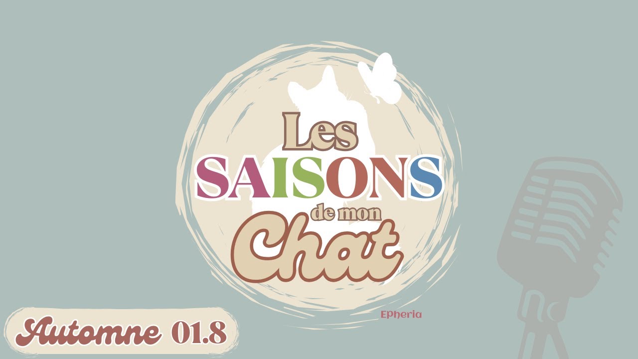 Automne 01.8 🍂 Comment conserver le lien avec son chat en fin de vie