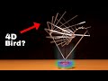 12 Confusing Science Toys/Gadgets!