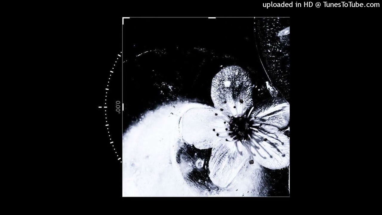 [Free] hoodtrap | experimental type beat - "plazmafobia"