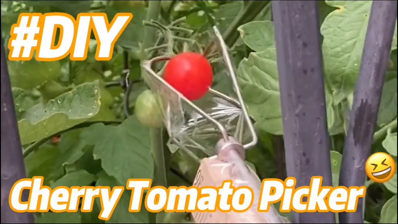 DIY Cherry Tomato Picker with a Yardstick and a Mixer Attachment - YouTube