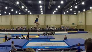 Jessica - Trampoline - Level 8 - Optional - 2018 Orlando Invitational