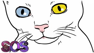 You've CAT To Be KITTEN Me【Cat Simulator】SOS: 80 screenshot 3