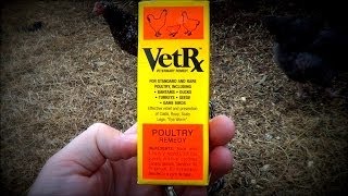 Backyard Chickens - Respiratory Disease - VetRx screenshot 2