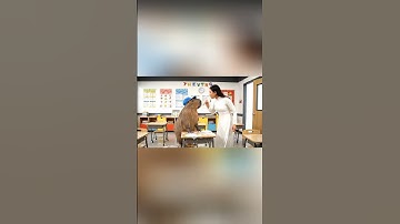 Capy giúp cô lau bàn ghế và cái kết #capybara