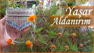 Yaşar - Aldanırım Kalimba Cover