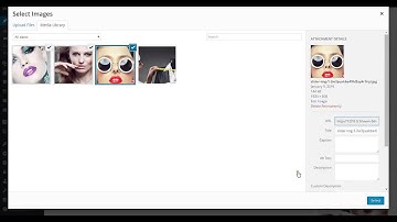 Lavan Using Blog Widget