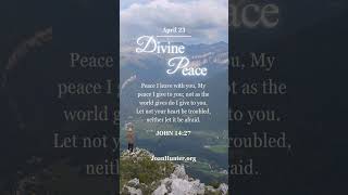 Daily Declarations: Divine Peace