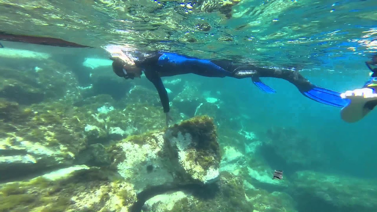 Una giornata con Nemo