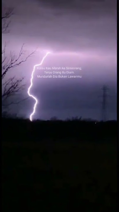 STORY WA 30 DETIK 🥀PENDIAM ITU BUKAN LAWAN MU TERBARU 2021#katakatabijak