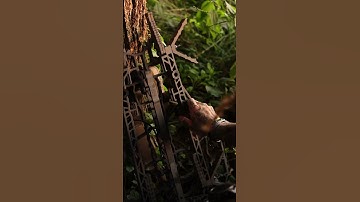 Product Spotlight: The Compact Double