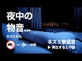 夜中の物音対策。ネズミ撃退音(12時間)。就寝前に流して朝まで効果持続