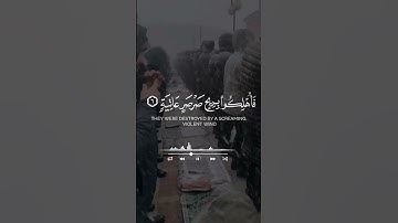 القارئ حاتم المالكي قرآن كريم تلاوات قرانيه #اكسبلور #القران